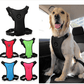 Dog Safety Harness and Car Safety Strap Set | 3 Colors | 4 Sizes for Comfort and Prefect Fit.