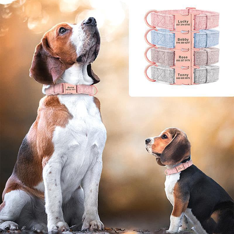 Personalized Pet Dog Collar | Small - Medium - Large | 4 Colors | Collar / Leash Set.