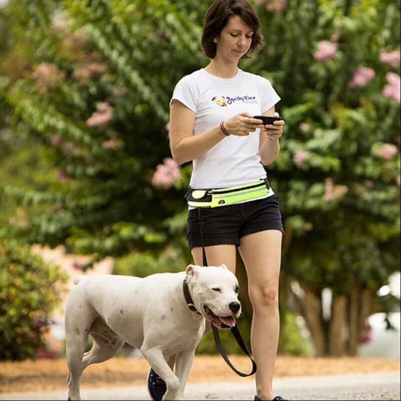 Hands Free Dog Leash Pet Walking-Phone Pocket And Water Bottle Holder.